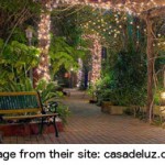 Casa de Luz the only all-organic dining in town