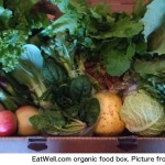 EatWell.com organic food box. Picture from their website