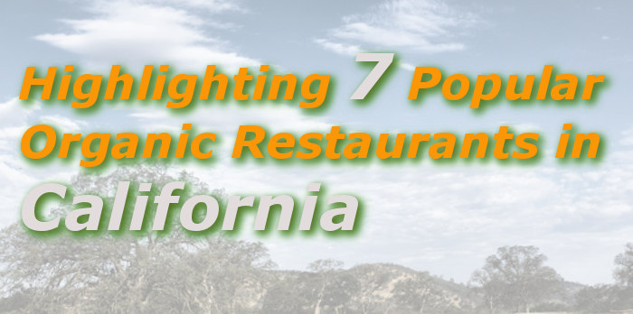 Highlighting 7 Popular Organic Restaurants in California